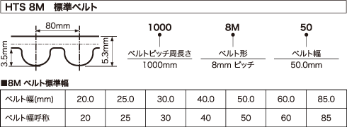 HTS 8M@Wxg